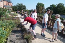 18-08-18_Sel_0179-LeS_02901